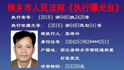桐乡市殡葬事业单位人事任命最新动态及任命解析