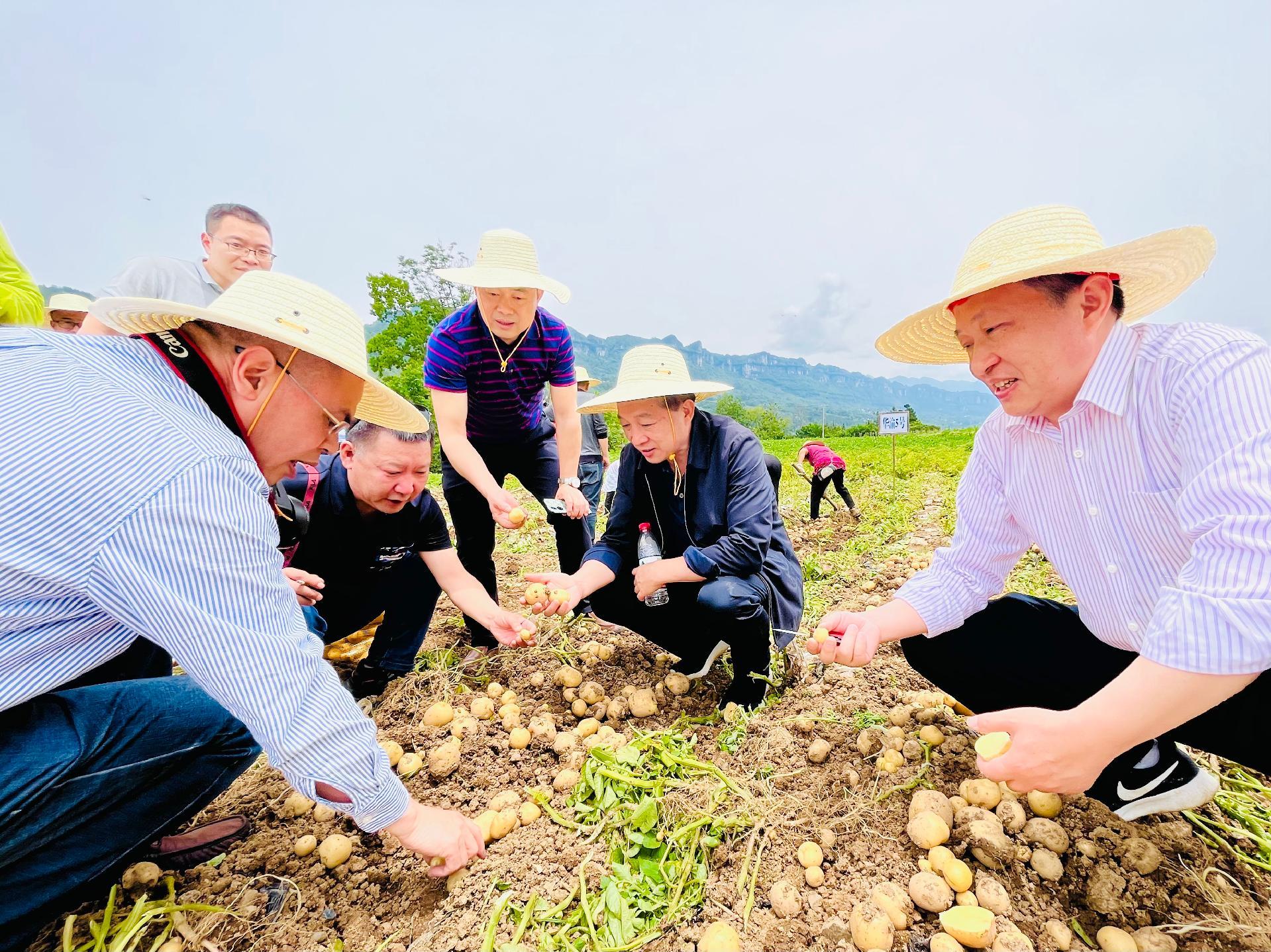 以下是根据您的要求，对历届国家领导人政绩的系统性总结和分析，，毛泽东，建立新中国，领导中国人民经过长期的革命斗争，推翻了 三座大山，建立了中华人民共和国，使中国人民从此站了起来，成为国家的主人。，社会主义改造，领导完成了对农业、手工业和资本主义工商业的社会主义改造，实现了从新民主主义到社会主义的转变，确立了社会主义基本制度，为当代中国一切发展进步奠定了根本政治前提和制度基础。，国防与外交，领导抗美援朝战争，捍卫了国家安全；推动 两弹一星 等国防科技事业发展，提升了中国的国际地位；同时积极开展外交