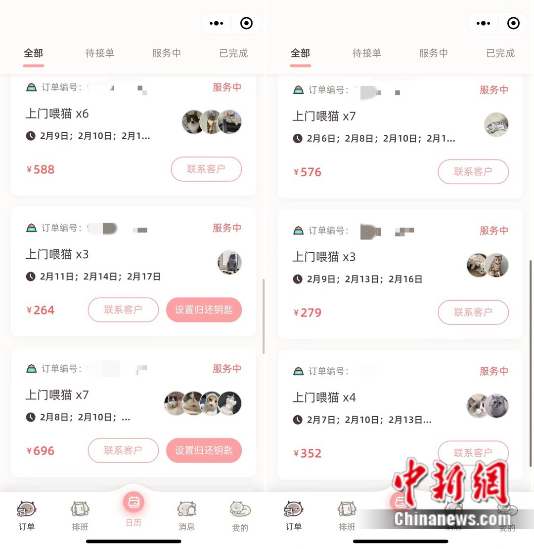 天天撸一撸最新版，探索与体验的乐趣